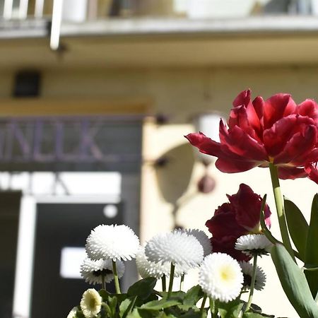 ホテル Haus Sonneck Marburg エクステリア 写真